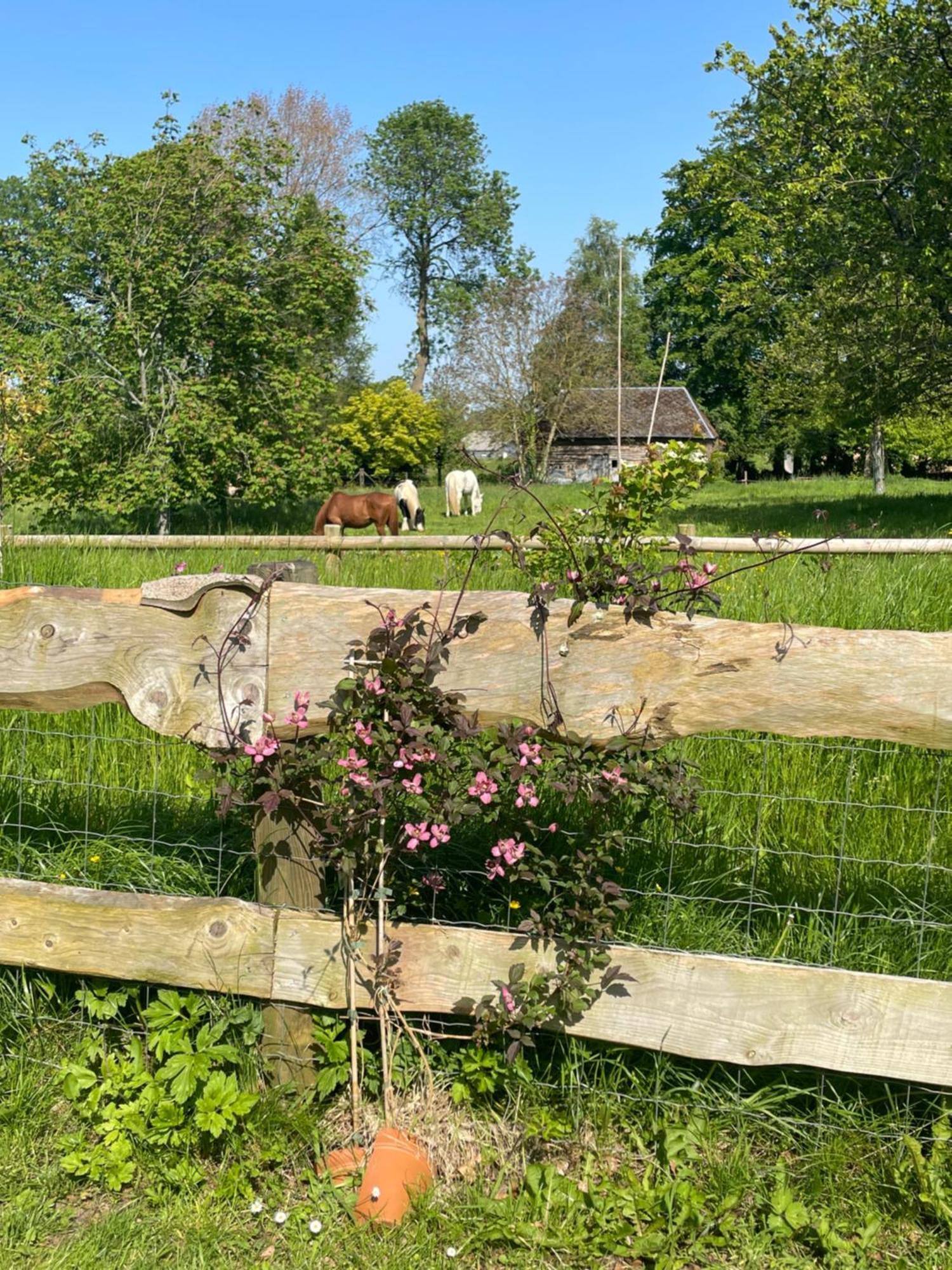 Le Clos Du Val A Loup Bénarville Kültér fotó